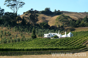 Te Mata Estate Winery